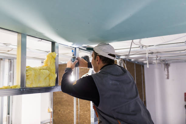 Best Geographic-Specific Insulation Services in Richgrove, CA